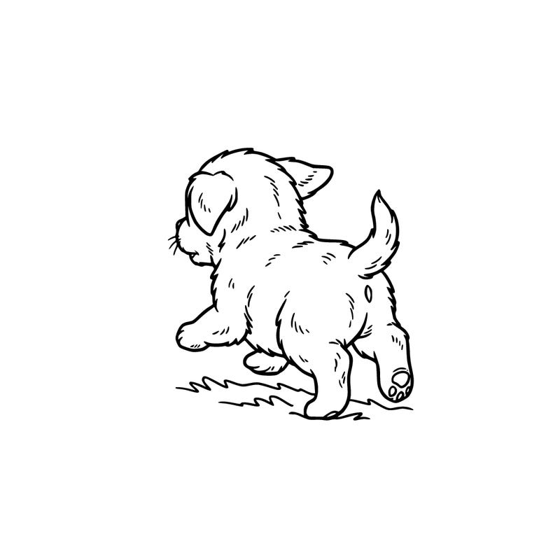 baby puppy running around