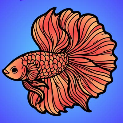 betta fish