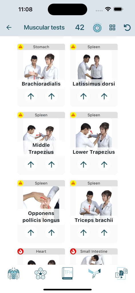 Touch For Health app interface showing a list of 42 muscular tests with animated positions for holistic practitioners