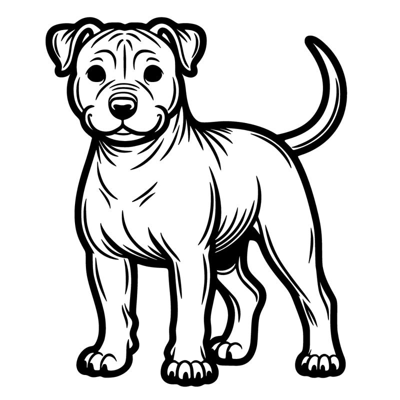 staffordshire pit bull
