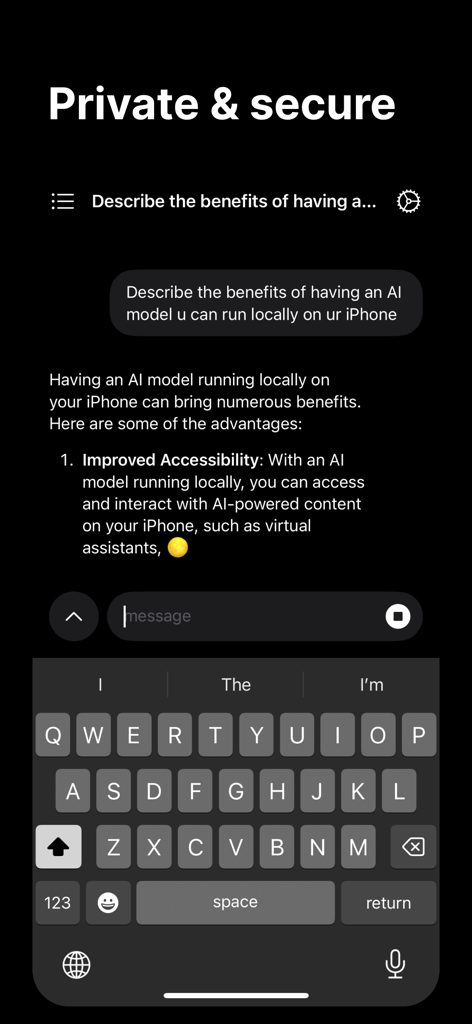 My Local AI - A screenshot of the My Local AI app displaying a private and secure chat session on an iPhone