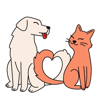 animals_22