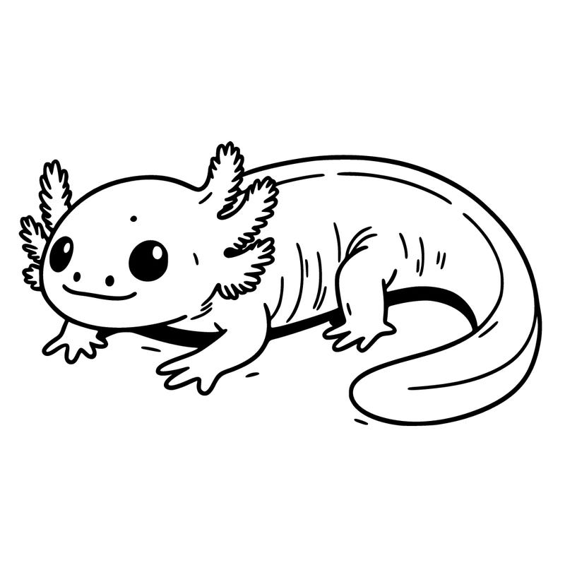 axolotl