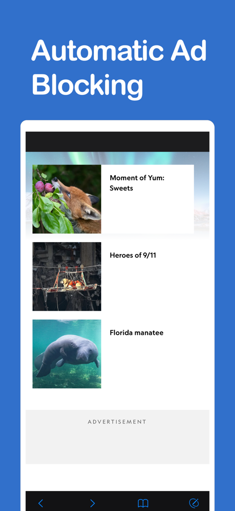 Oberfläche des Kinder Browsers, die die automatische Werbeblockierungsfunktion für eine ablenkungsfreie Web-Erfahrung für Kinder zeigt
