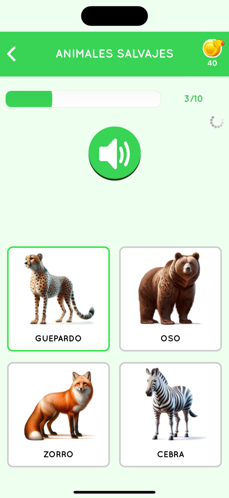 Learn Spanish for Beginner - Spanish vocabulary lesson for wild animals featuring a cheetah, bear, fox, and zebra.