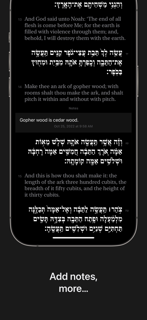Screenshot of the Shnayim app showing Hebrew and English Torah verses with a user note for study