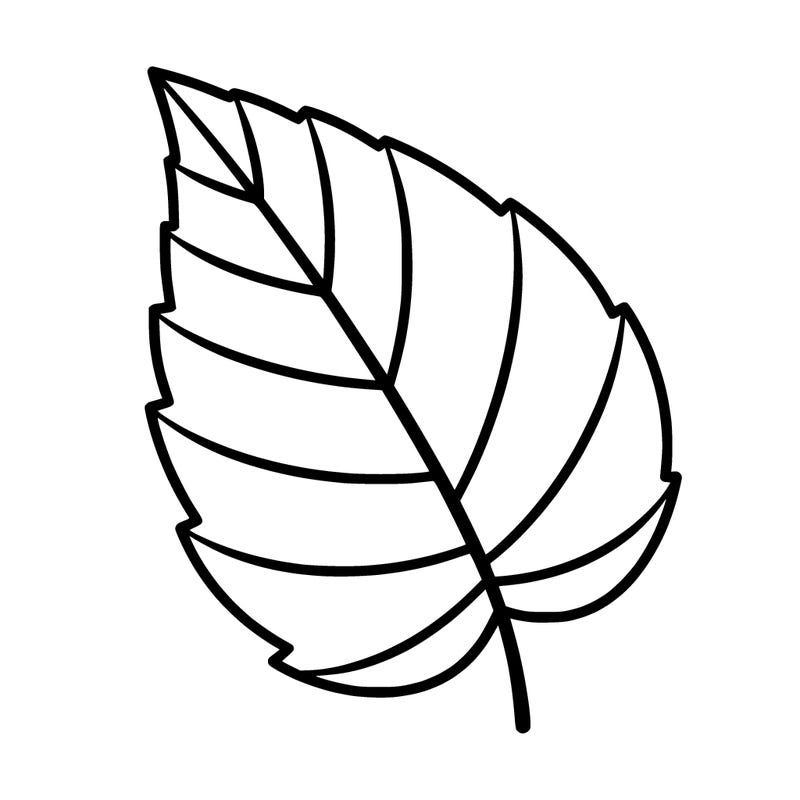 leaf only a leaf