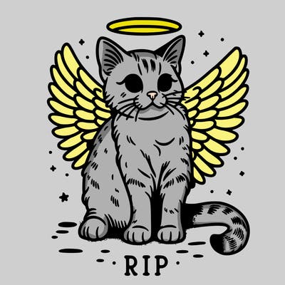 rip cat realistic cat with angel wings
