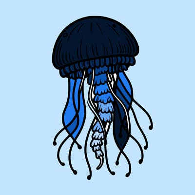 jellyfish
