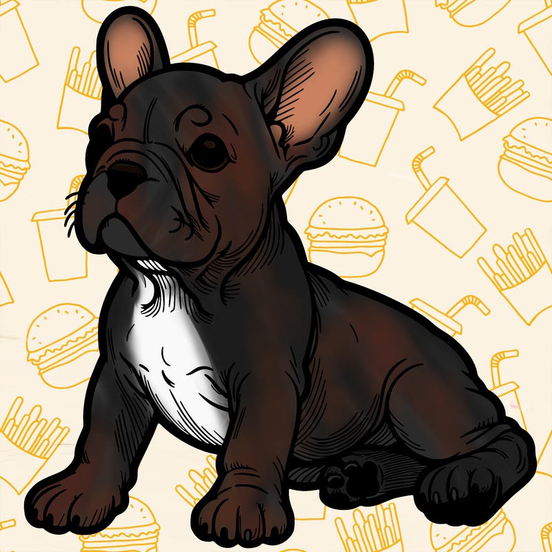 french bulldog