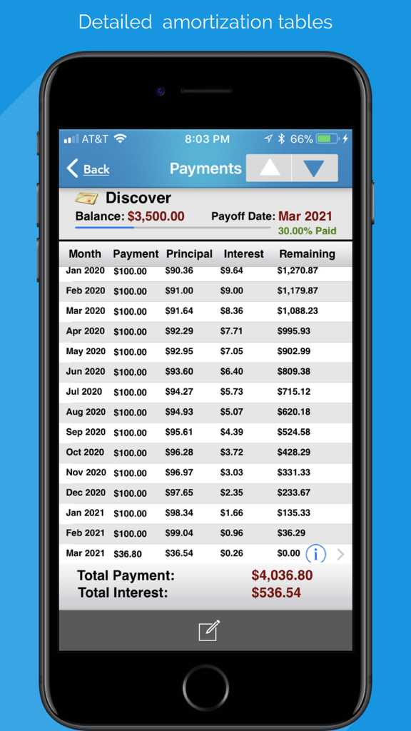 Debt Free - Pay Off your Debt - Detailed debt amortization schedule showing monthly payments and remaining balance
