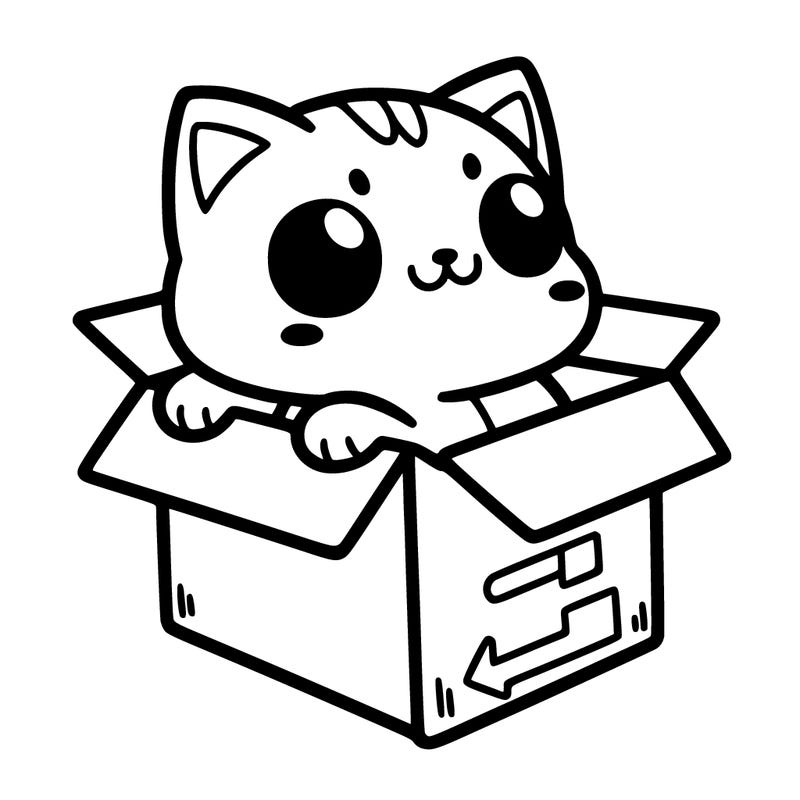 cat in box