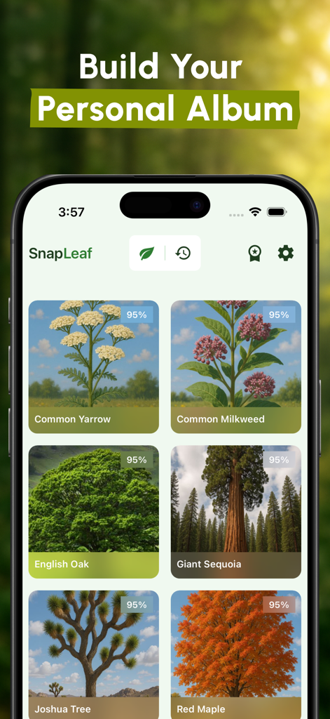 Plant Identifier - SnapLeaf - SnapLeaf app interface showing a personal plant album with identified species including English Oak and Giant Sequoia