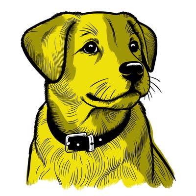 dog realistic