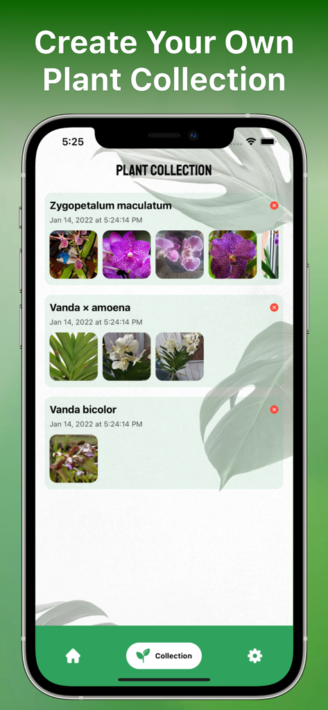 Interface of the Plant Identifier app showing a personal collection of identified orchid species with photos and names