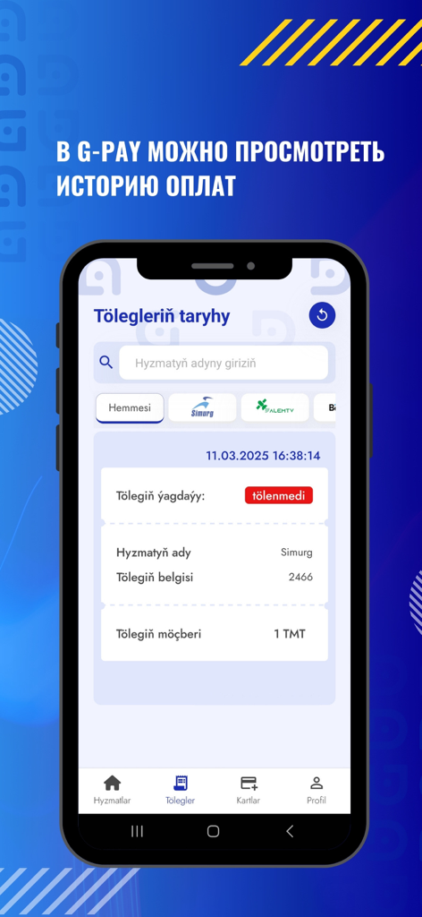 Gerekli Pay - Bildschirm für den Transaktionsverlauf der Gerekli Pay-App mit Details und Status der Transaktionen