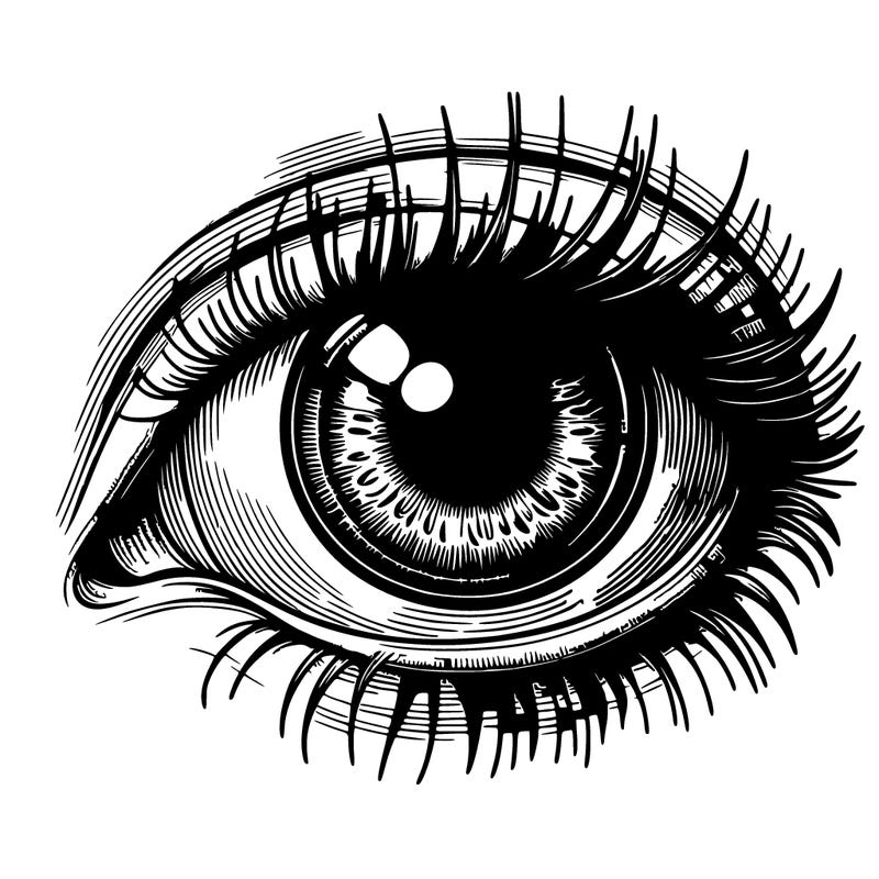 realistic eye