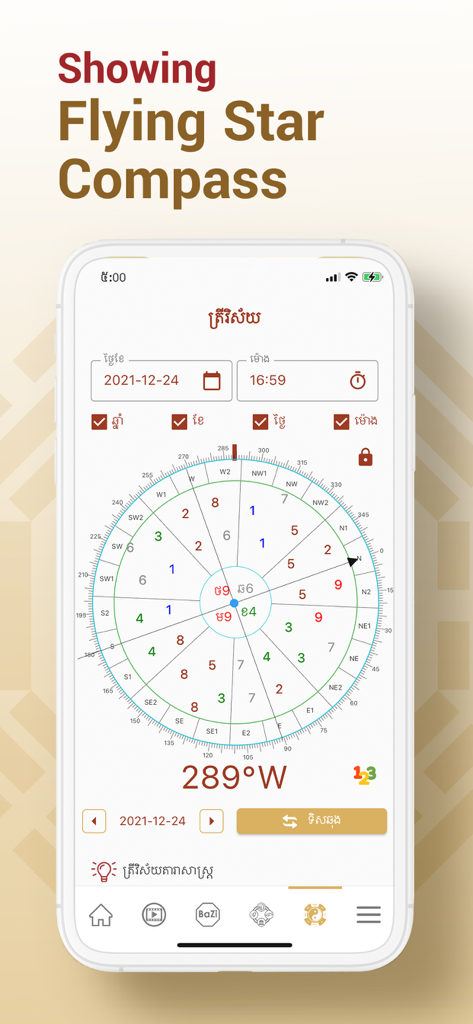 Mobile screen showing the Flying Star Compass feature in the My Destiny app
