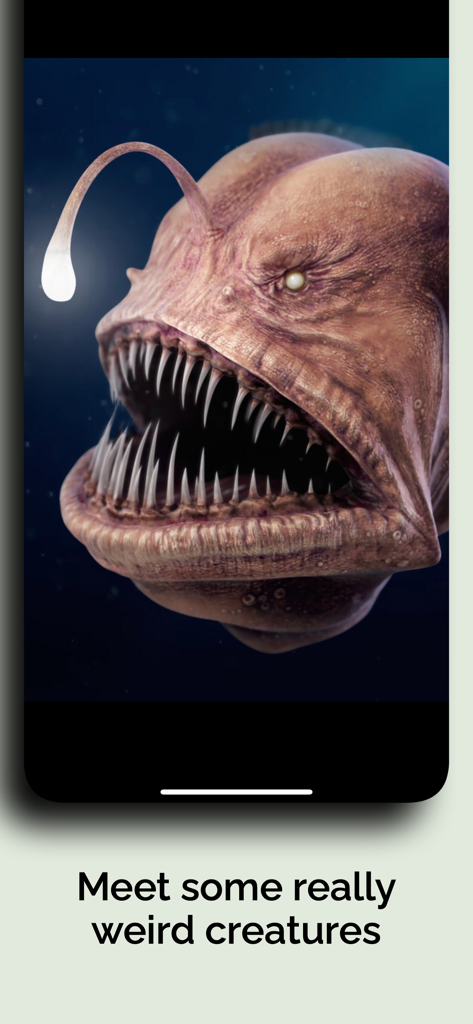 Nahaufnahme eines Tiefsee-Anglerfischs in der Naturkundemuseum 4 You App