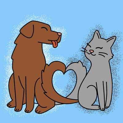 animals_22