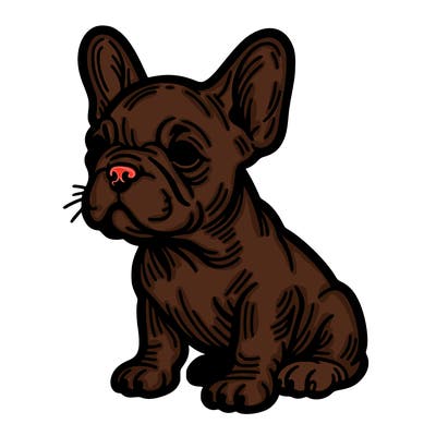 french bulldog