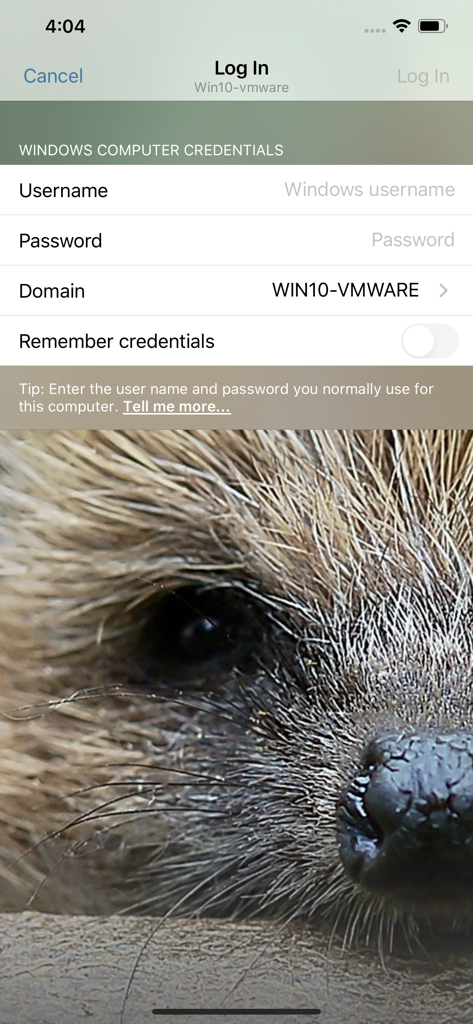 LogMeIn Pro & Central - Login screen for remote desktop access showing windows computer credentials fields