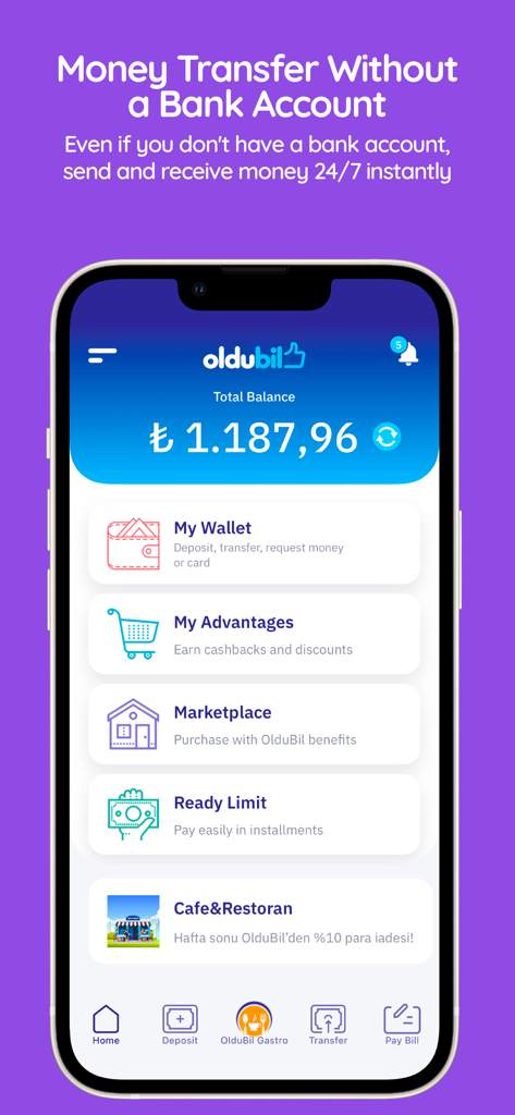 OlduBil - OlduBil app dashboard displaying balance in Turkish Lira and money transfer options without a bank account
