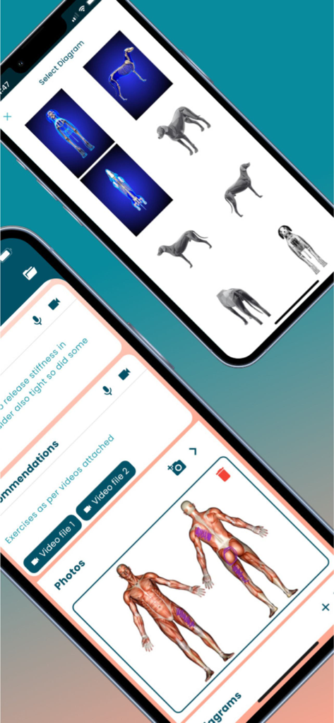 Equigate - Equigate app interface showing animal and human anatomical diagrams for professional therapy reports