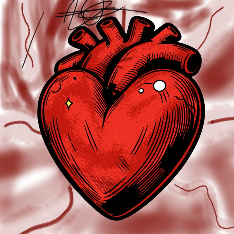 realistic heart