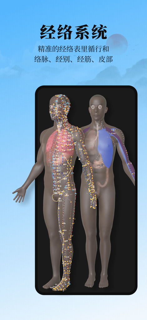 中医经络腧穴—针灸大师 - 3D human model showing acupuncture points and meridian lines alongside anatomical layers