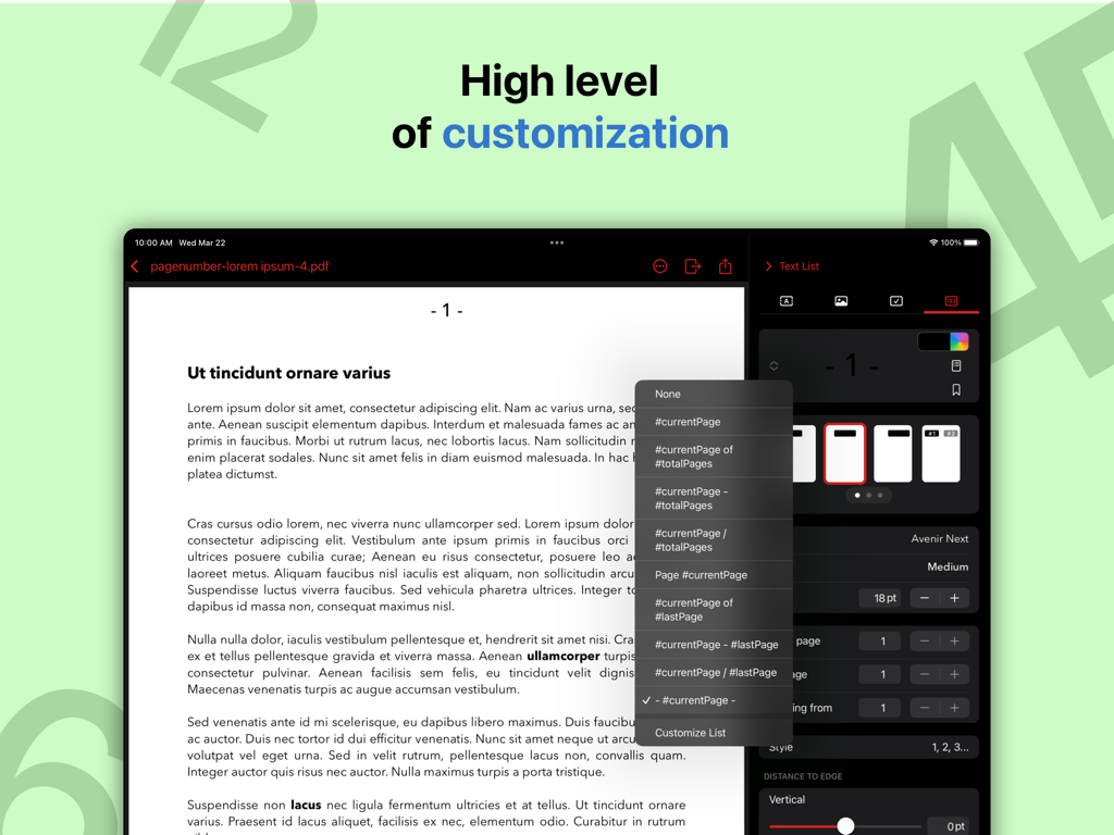 iPad interface of PDF Watermarker showing advanced page numbering and customization options