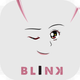 BLINK fan game