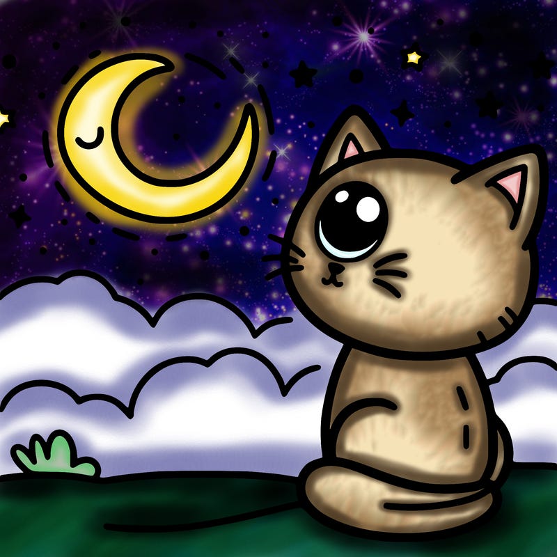 cat looking at the moon