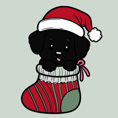 cute puppy wearing santa hat in socking