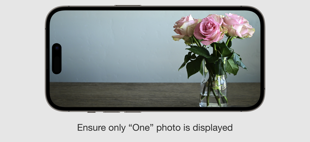 Photo Holder - Smartphone in landscape mode showing a locked photo of pink roses with the caption Ensure only One photo is displayed