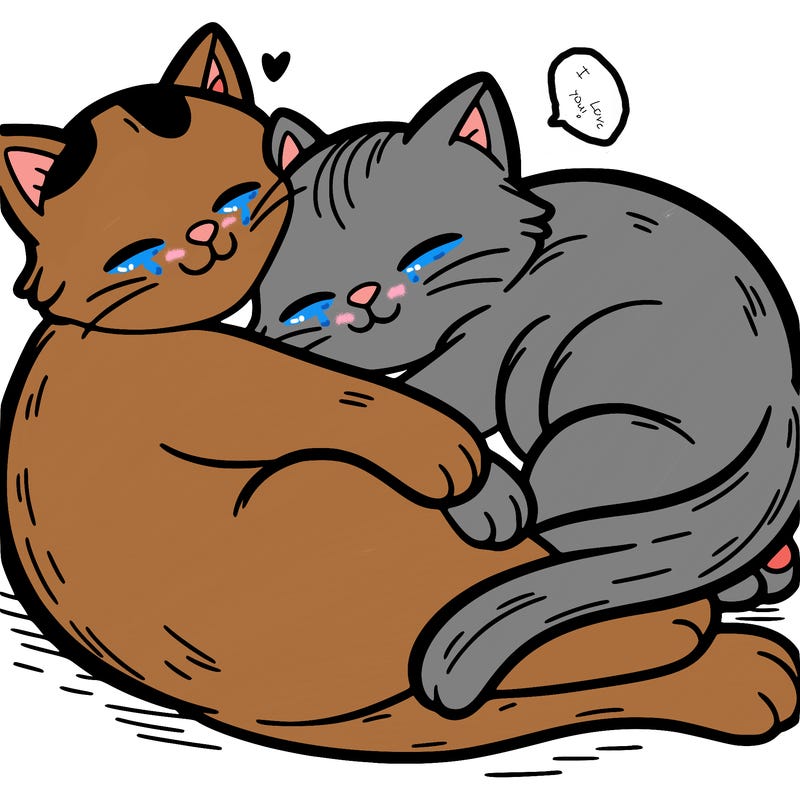 a cat cuddling with another cat