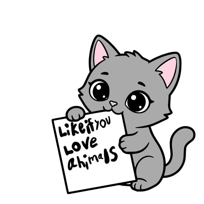 a small cat with a blank sheet of paper in its hand. the cat is sooooooo cute!