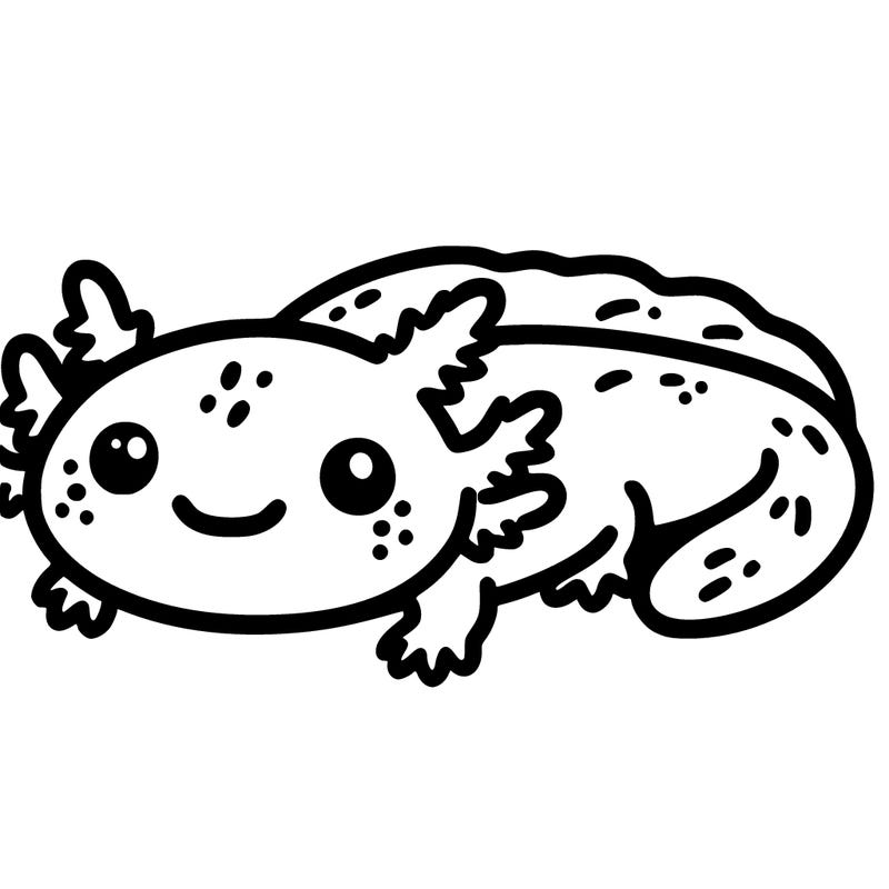 a cute axolotl