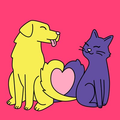 animals_22