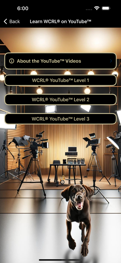 WCRL® Rally Dog Obedience - WCRL Rally Dog Obedience app menu for YouTube video lessons across three levels