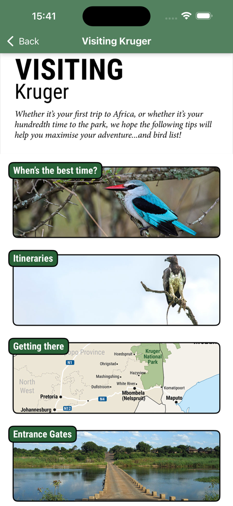 Kruger Birding by Firefinch - 