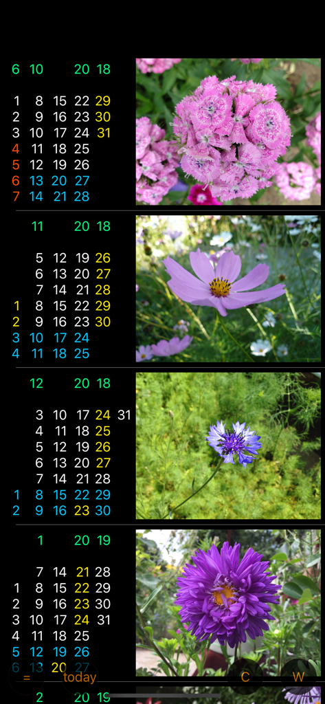 Only For Women - Calendar W - Vista de calendario de rastreador de período que muestra las fechas mensuales junto a imágenes decorativas de flores