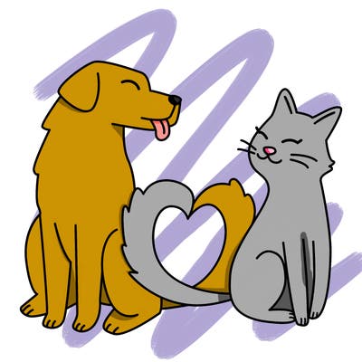 animals_22