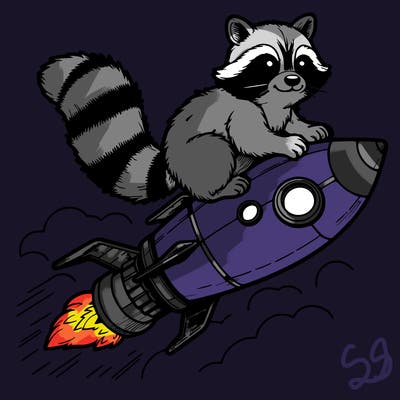 realistic raccoon flying on top rocket ship