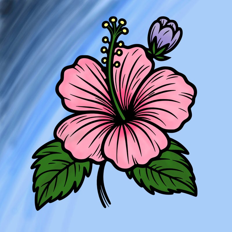 hibiscus flower