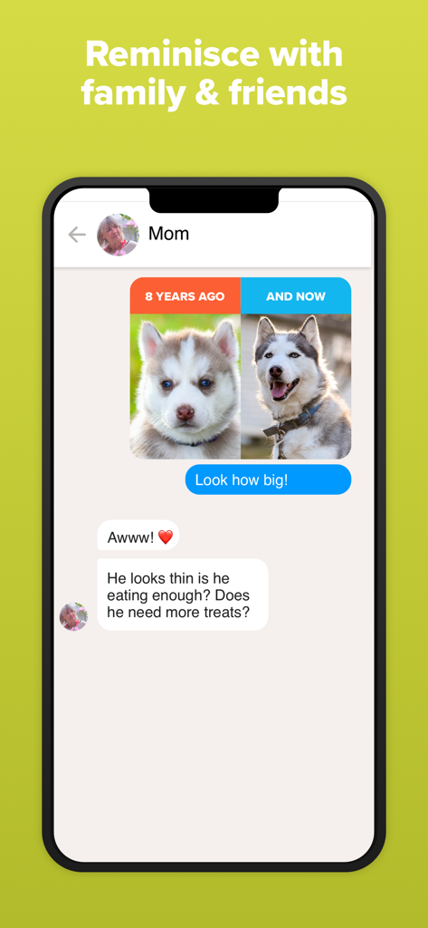 A chat conversation showing a 8 years ago and now photo comparison of a dog shared with family