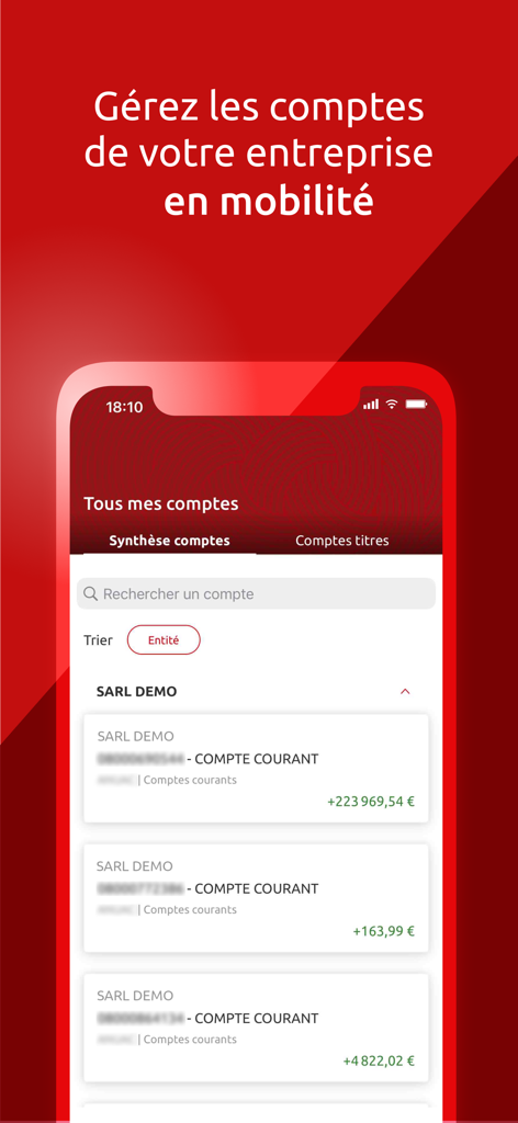 CE net – Caisse d’Epargne - Tableau de bord de l'application CE net affichant les soldes des comptes professionnels d'un utilisateur.