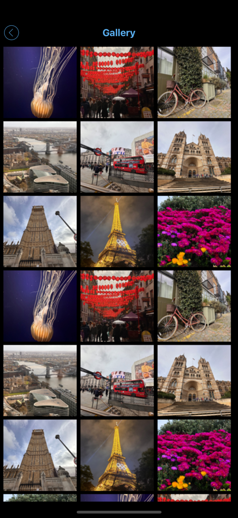 Camera Eye (Former Easy Calc) - A grid display of photos within the private gallery of the Camera Eye app showing various travel and nature images