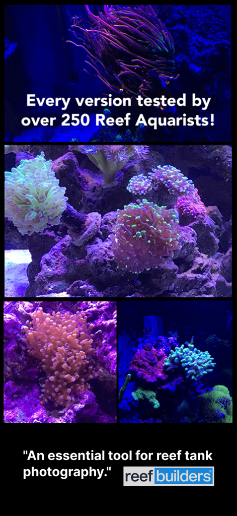 Un collage de vibrantes corales de acuario de arrecife que muestran las capacidades de corrección de color de la aplicación Cámara de Acuario con un testimonio de Reef Builders.