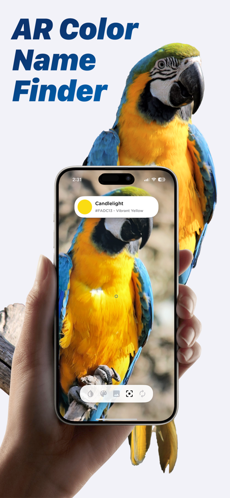 AR color detection app identifying a yellow hue from a parrot on an iPhone